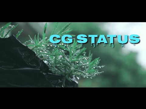 CG whatsapp Status Video download